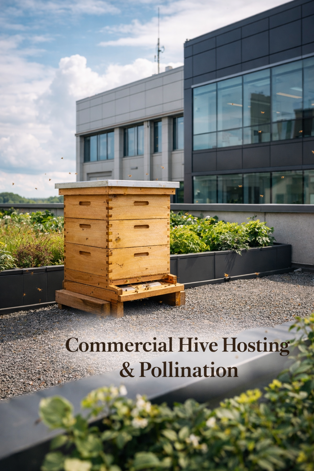Commercial Hive Hosting & Pollination Services