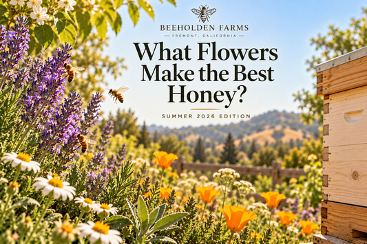 Summer flowers Bay Area honey bees forage on