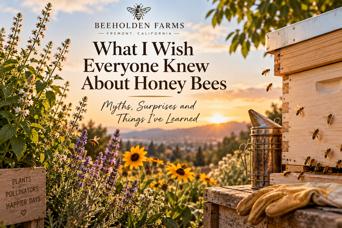 Honey bees and what we wish everyone knew about them