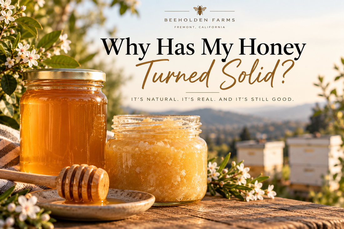 Crystallized raw honey that has turned solid