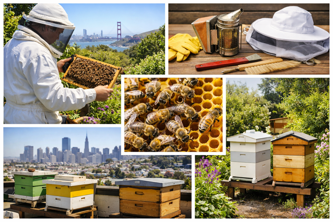 A Beginner’s Guide to Beekeeping