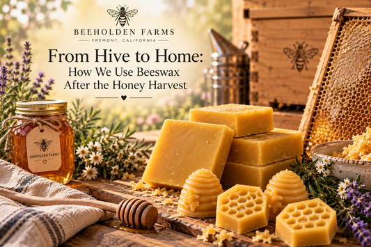 Beeswax after the honey harvest, from hive to home