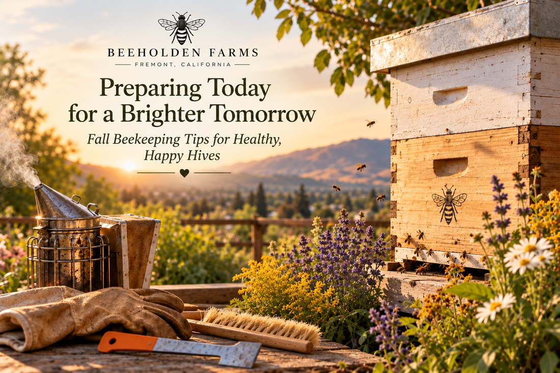 Fall beehive prep in the Bay Area