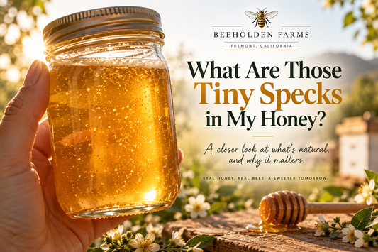Tiny specks and foam in lightly strained raw honey