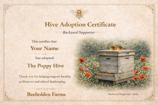 Hive Adoption – The Backyard Supporter