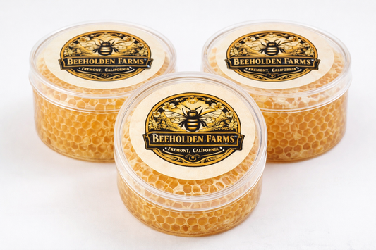 Raw Honeycomb — Cut Comb (Coming Soon)