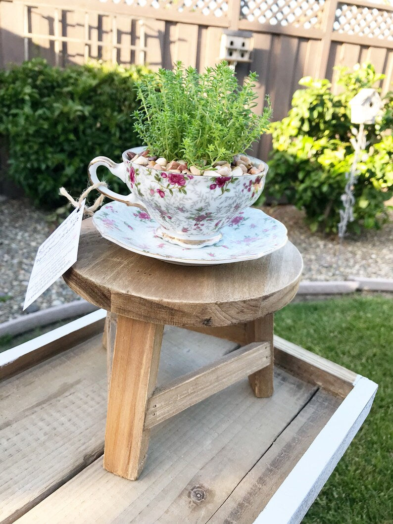 Vintage teacup planter with greenery and stones displayed on a small wooden stool on a wooden tray